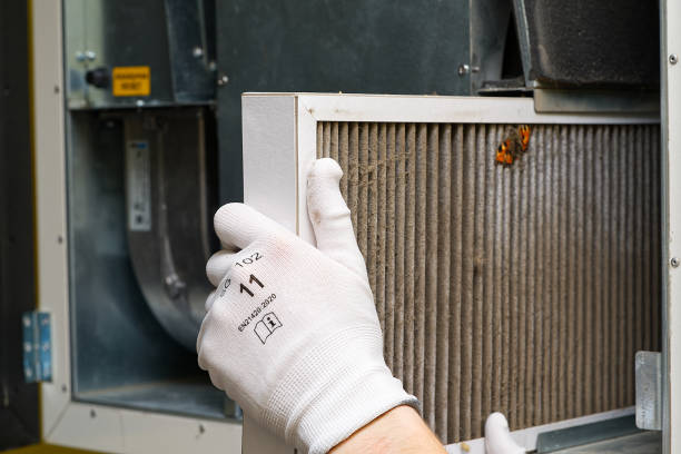 Best Duct Cleaning for Homes  in Williams, OR